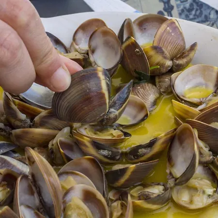 A48 - Windmill 1 Bed In Odiáxere